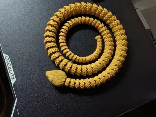 Snake and Rattlesnake