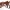 Tyrannosaurus Rex Skeleton – Fully Detailed Prehistoric Dino