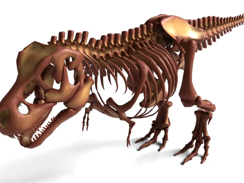 Tyrannosaurus Rex Skeleton – Fully Detailed Prehistoric Dino