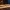 Hermione Granger Wand | Full Scale 1:1 | 387.5 mm