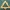 Bordure de cadre photo triangulaire ornée de style baroque rococo
