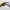Champions karambit valorant