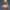 WOMAN NUDE BUST