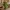 cactus figurine with sombrero