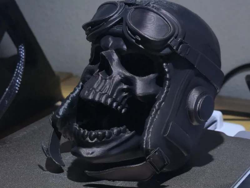 Blackout pilot skull