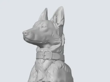 Malinois / Pastor de Malinas