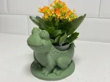 frog planter-creality-0