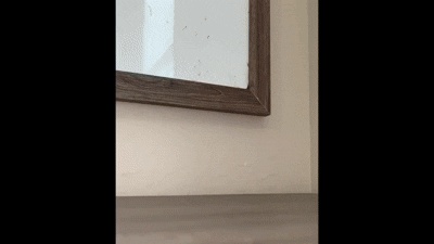 Mini-Boxen: Robuste Abenteuerboxen-0