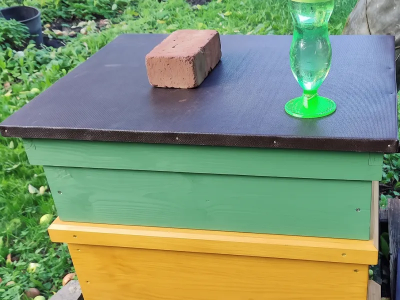 PET şişe arı yemliği 100 mm daire