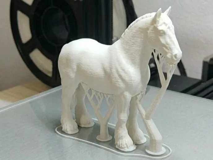 Cavallo Percheron