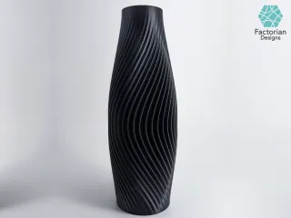 Stunning 3D Printed Vase: Add Style to Your Home Decor!