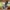 saxophone statut 3D
