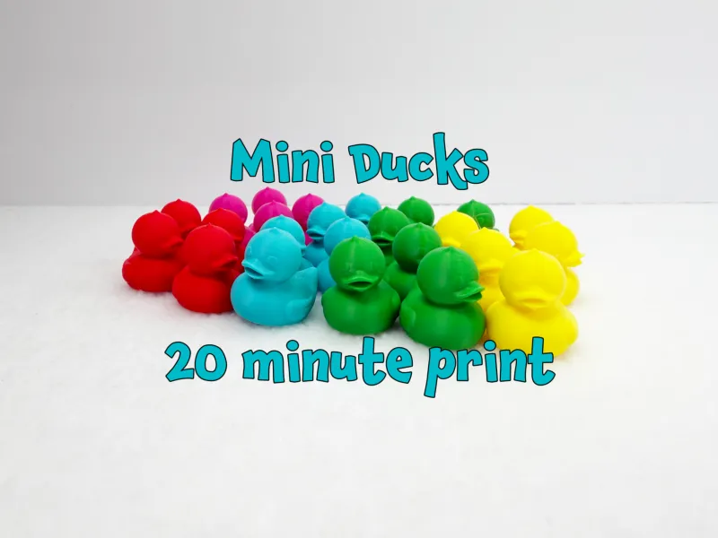 Mini-Ente