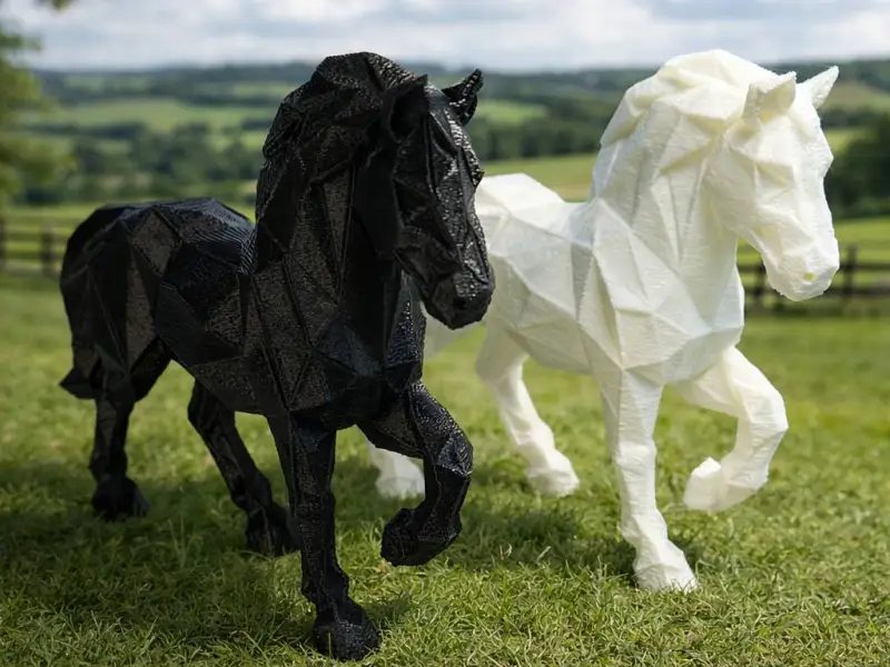 CF Horse