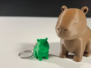 Cute Capybara