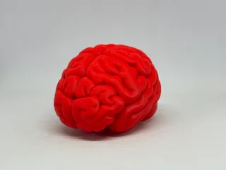 大脑