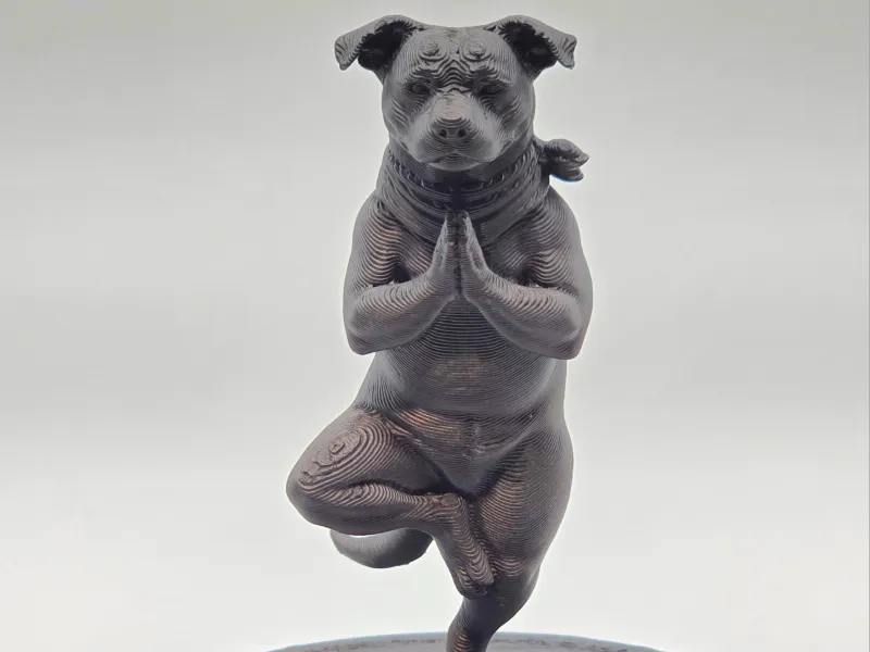 Zen-Hund: Pitbull Terrier Baum-Pose