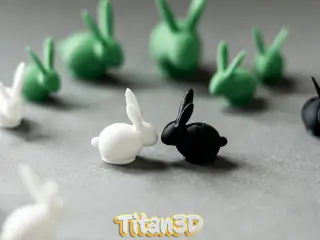 Cute Mini Bunny