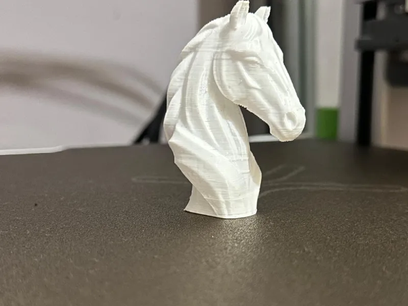busto caballo
