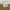 Rate of Dynamite - Western Decorative Model