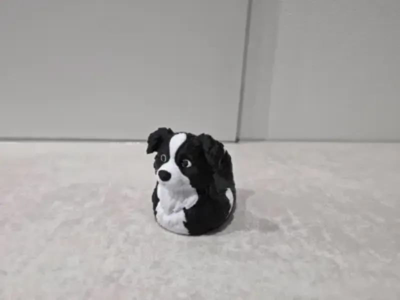 边境牧羊犬鸭，狗鸭，巡航车鸭