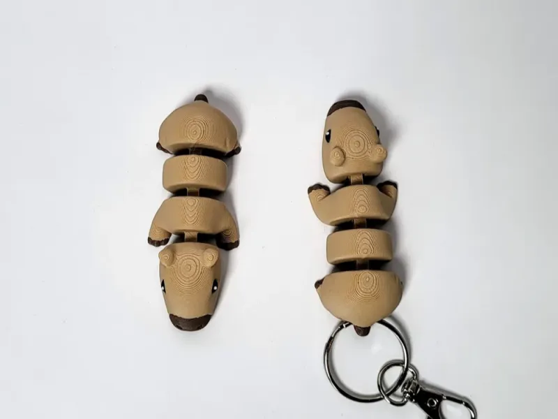 كابيبارا مفصلية - مفاصل متينة