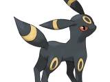 noctali-0