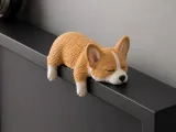 corgi-0