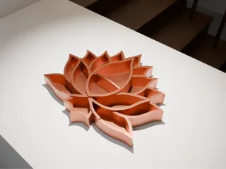 Lotus flower Organizer
