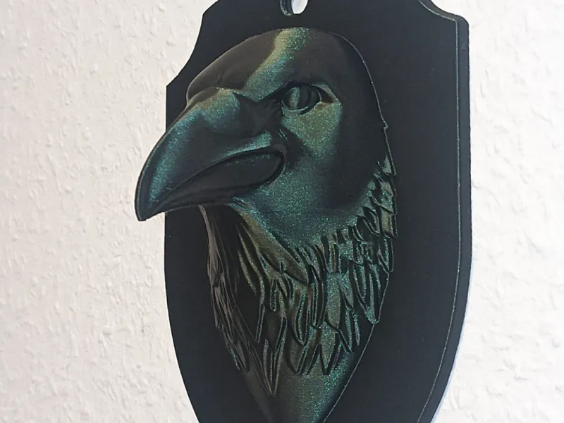 Raven / Rabe