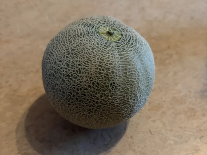 Cataloupe