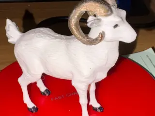 Mountain Goat