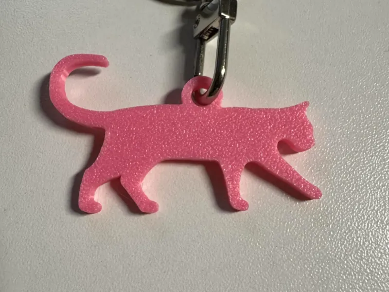 Schattige kattensleutelhanger