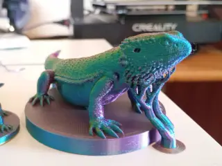 Bearded Dragon