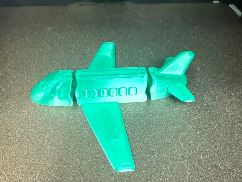 airliner airplane flexi