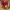 Print in Place Articulated Horse Model