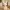 Figurine de lapin mignon – Lapin style crochet