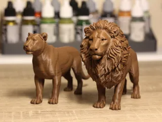 Lion and Liones