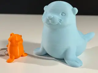 Cute Seal