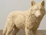 Wolf - simple and easy to print-0