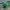Pixel Pond: The Voxel Frog