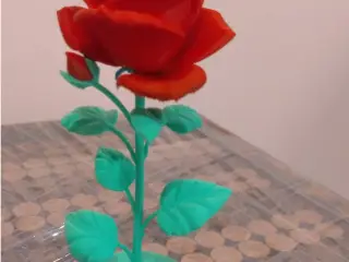 Rose /róża