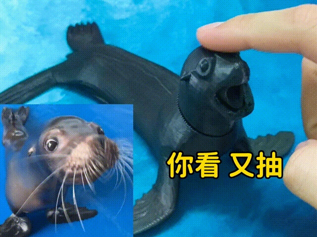 海狮按键点击器  机械轴玩具