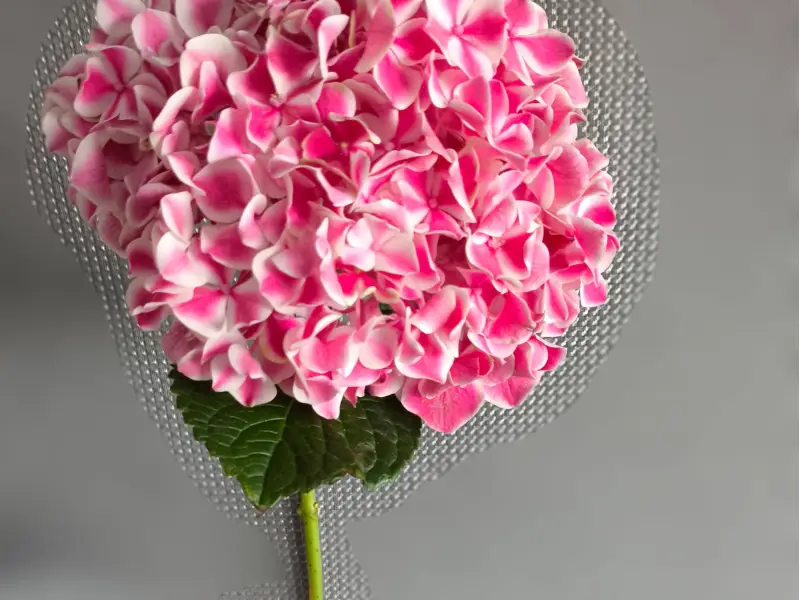 Spiral flower vase