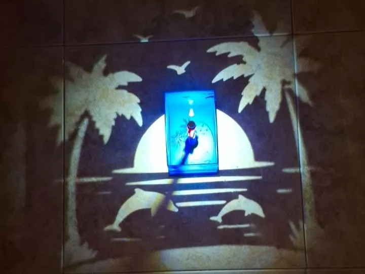 lampara de sombras delfin