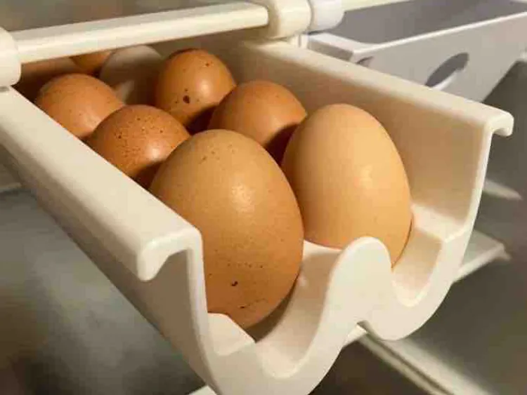 Fridge drawer with universal rails and 10 Fridge Egg Box
