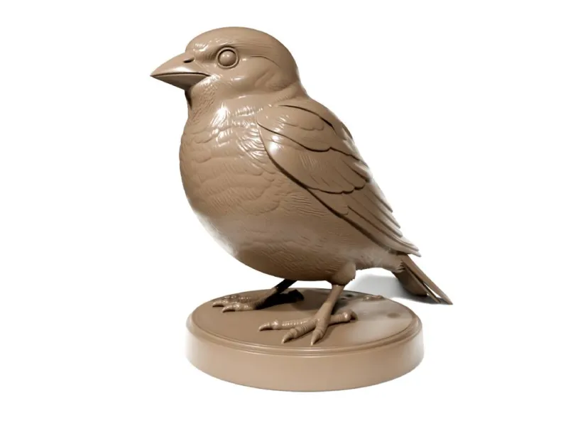 Sparrow