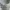 BOWL RICK - 分解图 - 无AMS