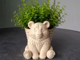 Cute Bear Planter-0