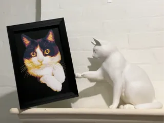 Cats Being Cats Picture Frame Collection